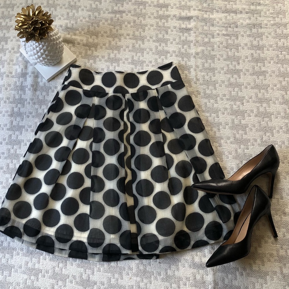 The Limited skirt